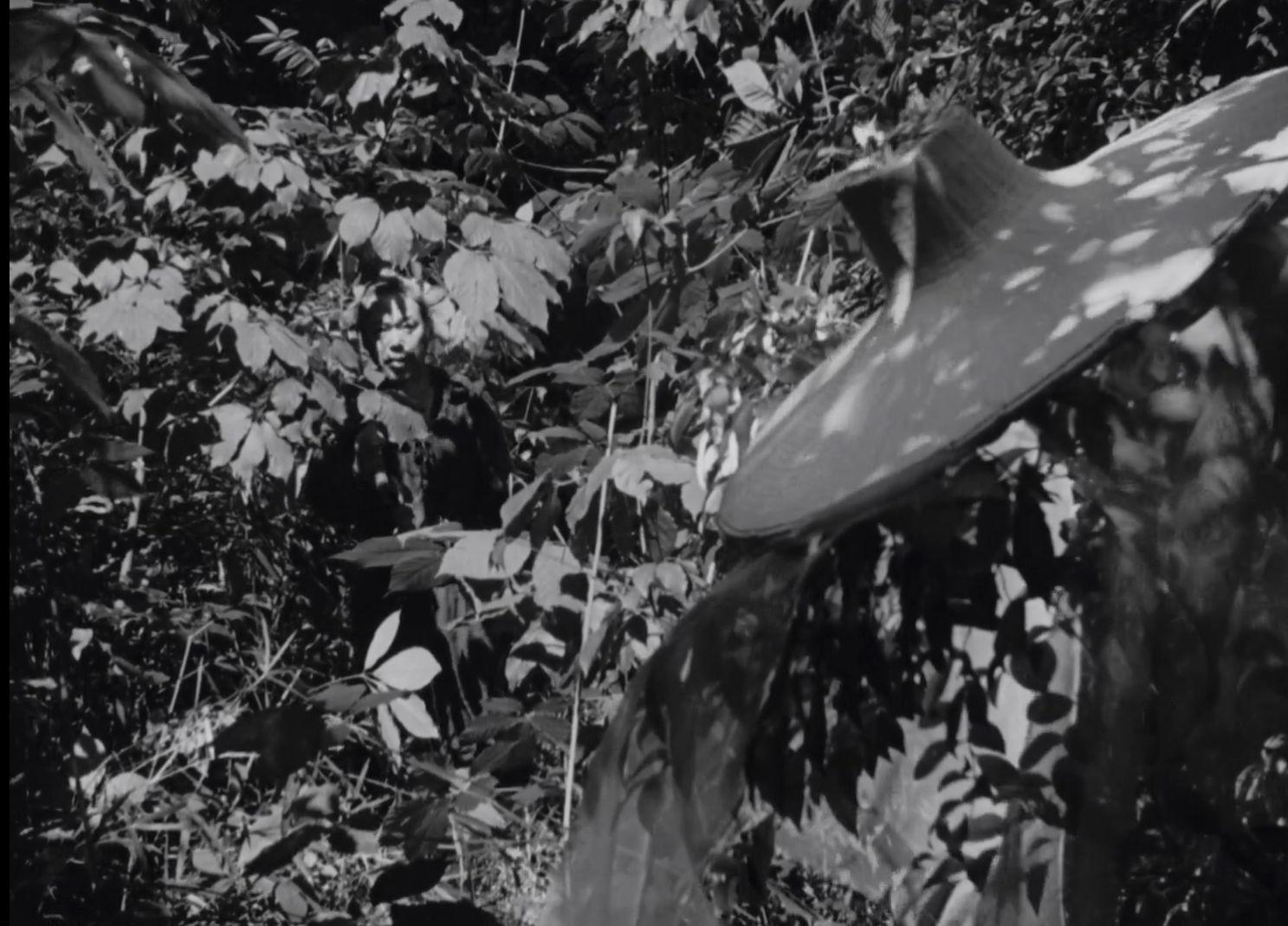 Tajomaru hiding in bushes