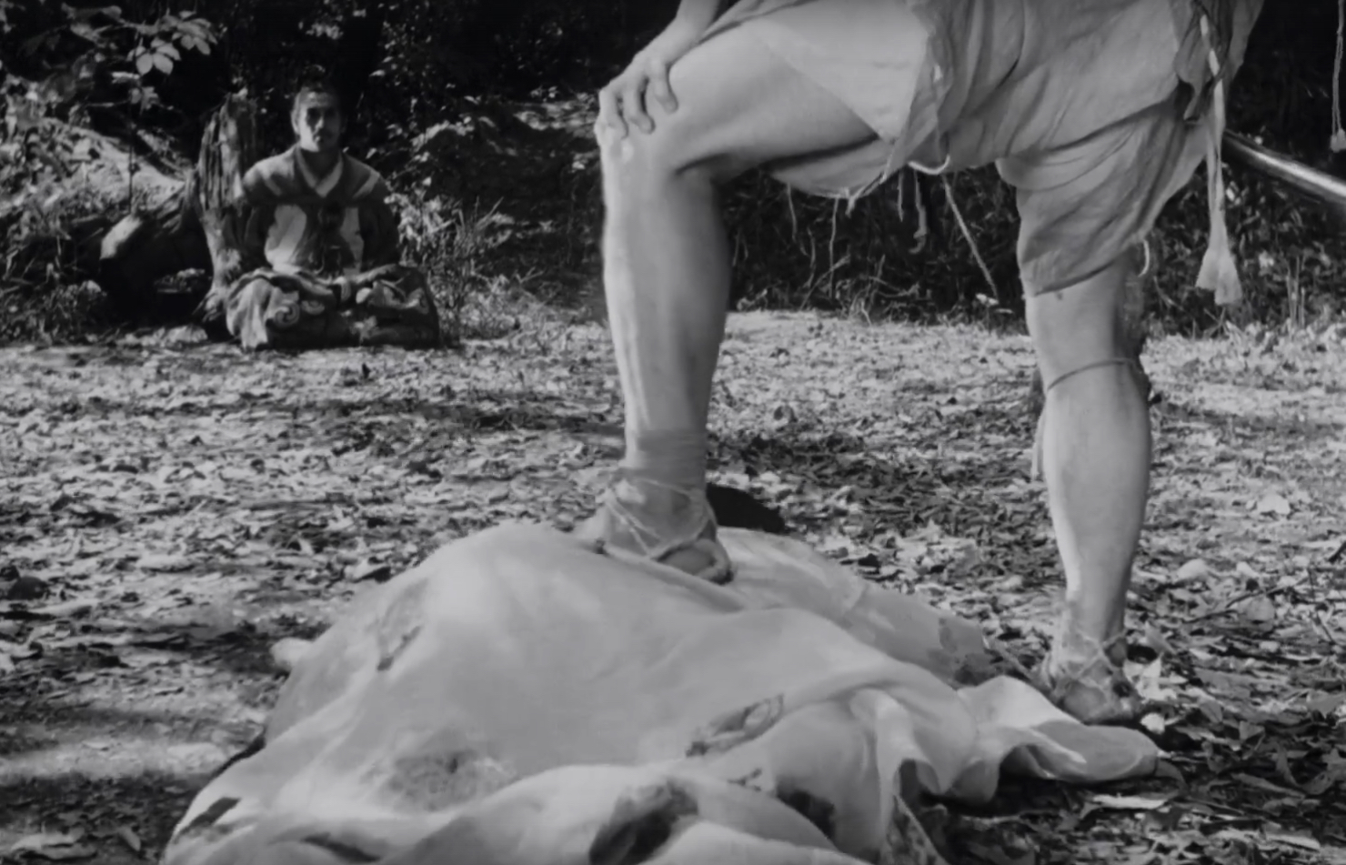 Eyes extreme closeup