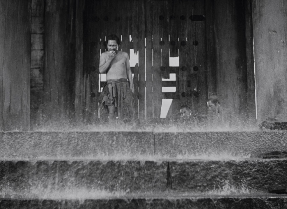 Commoner leaves in rain